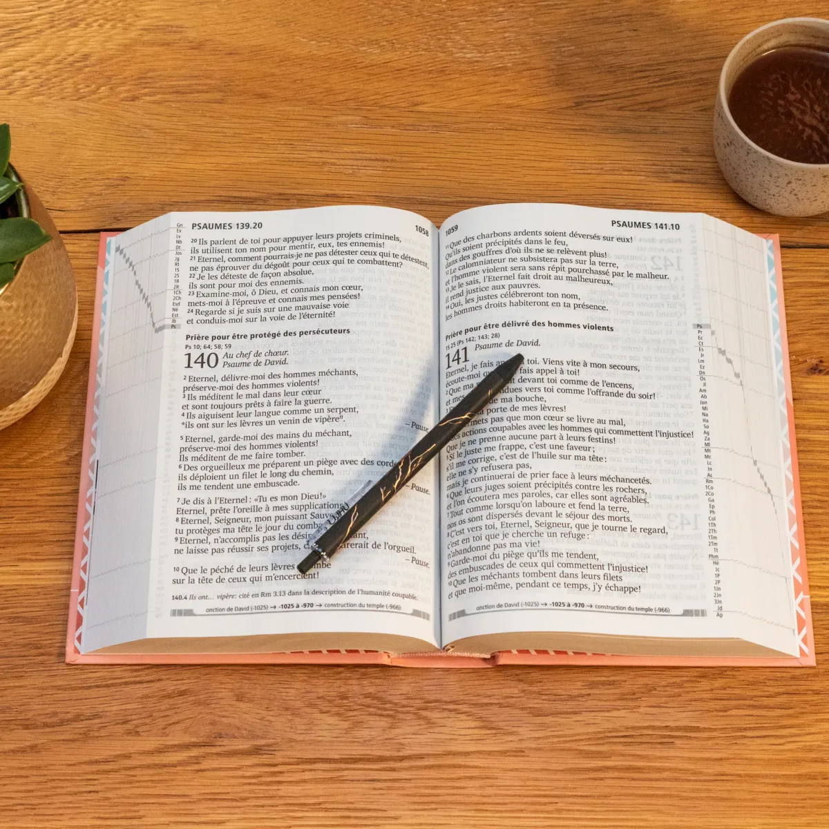 Bible SG21 gros caractères rigide rose