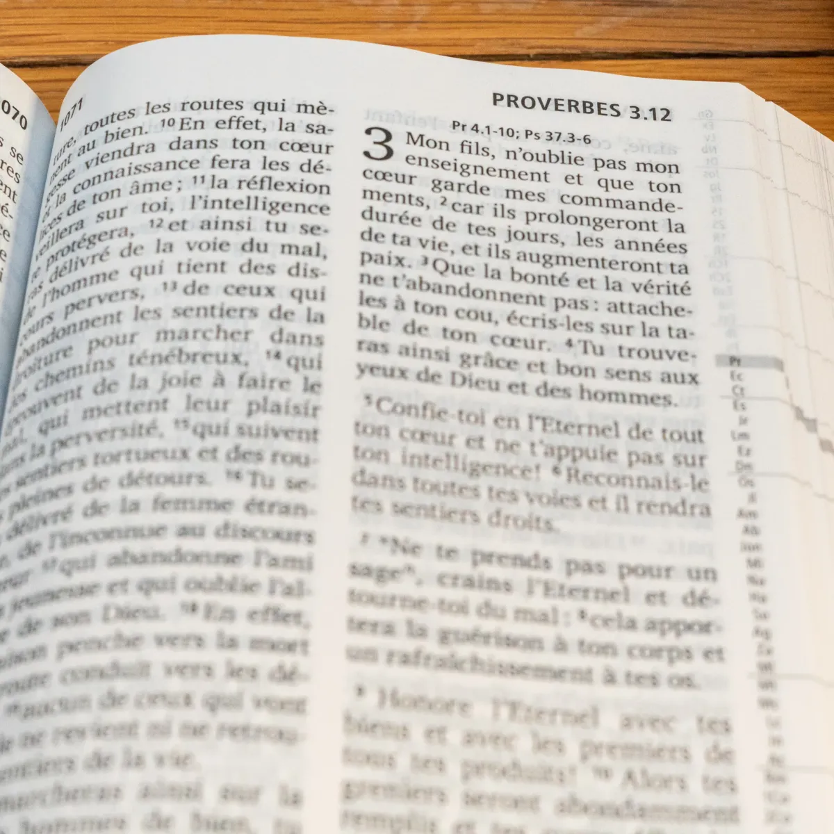 Bible SG21 gros caractères rigide rose