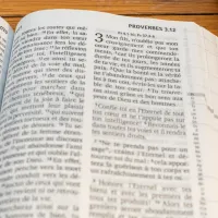 Bible SG21 gros caractères rigide rose
