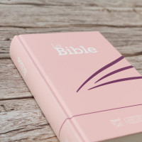Bible SG21 rigide rose