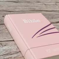Bible SG21 rigide rose
