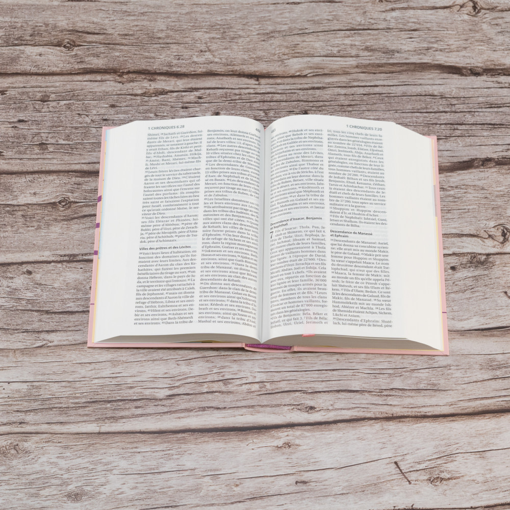 Bible SG21 rigide rose