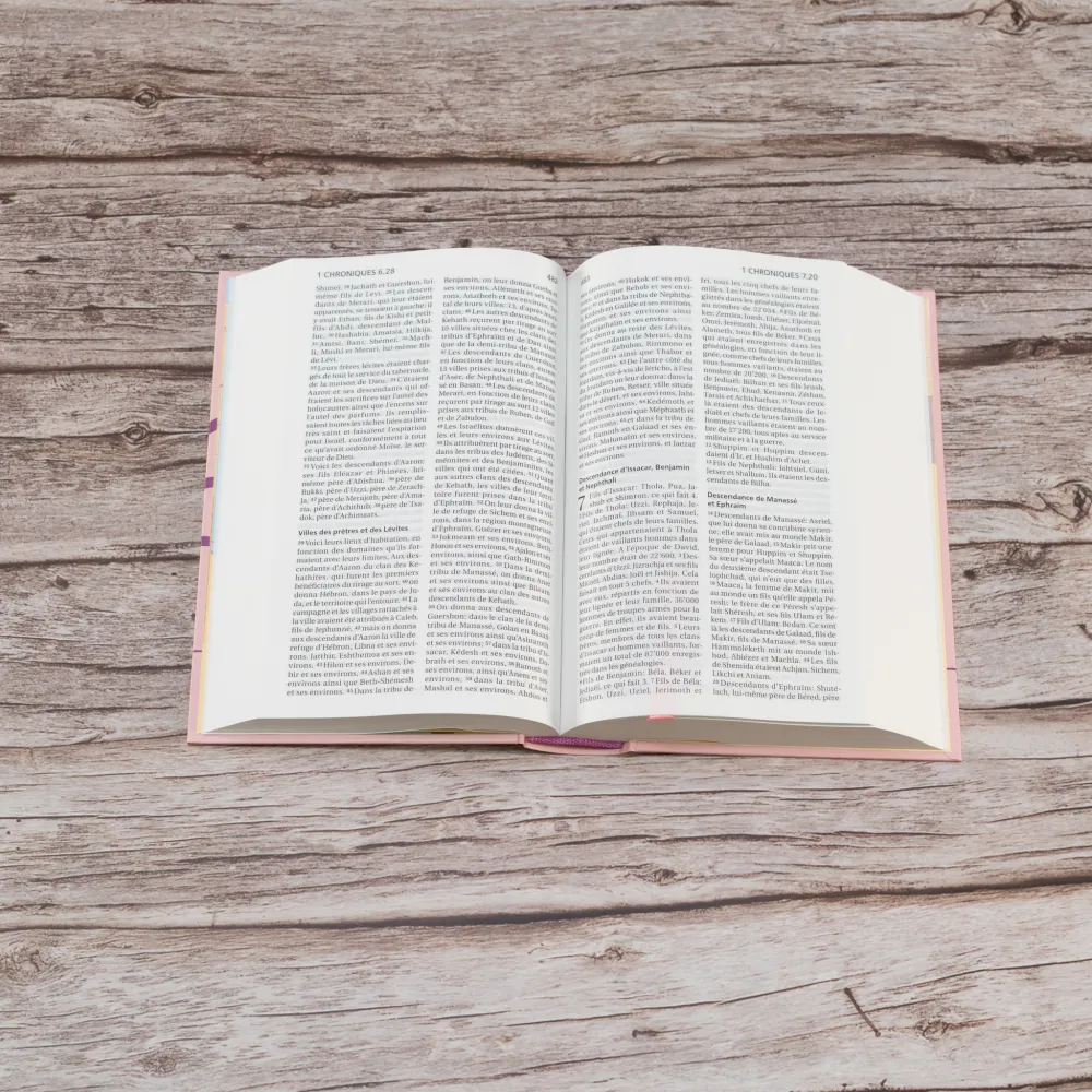 Bible SG21 rigide rose