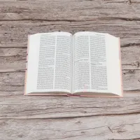 Bible SG21 rigide rose