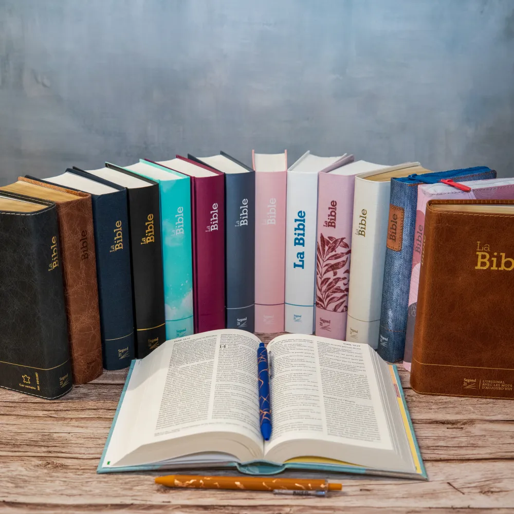 Bible SG21 rigide textile bleu fleurs