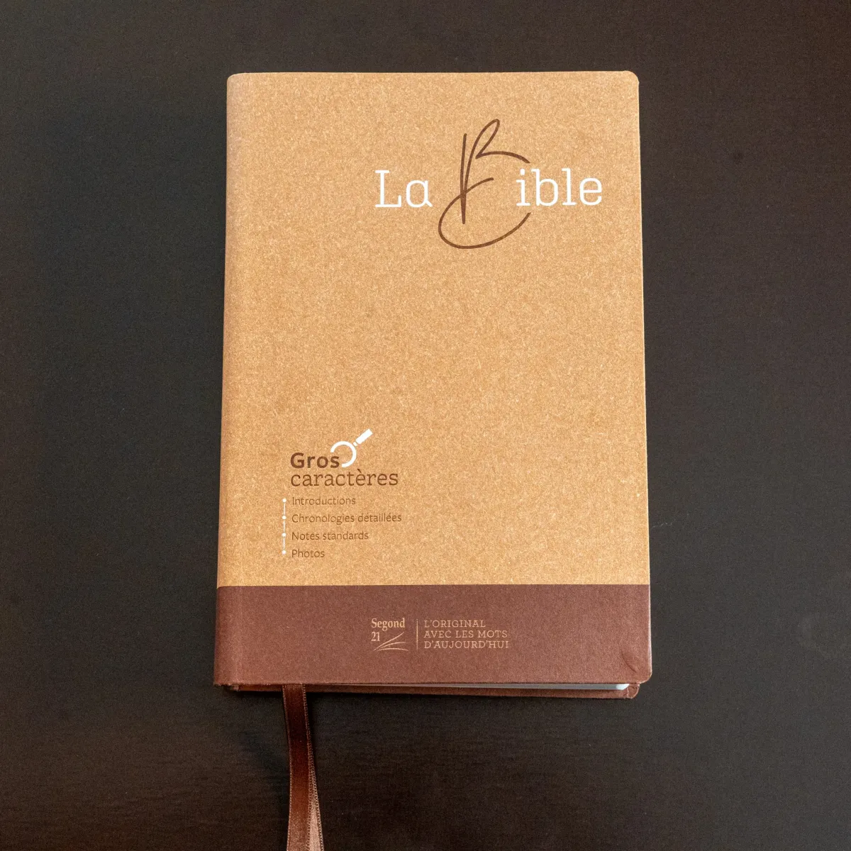 Bible SG21 gros caractères souple papier brun chiné