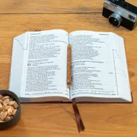 Bible SG21 gros caractères souple papier brun chiné