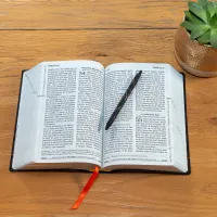 Bible SG21 gros caractères fibrocuir noir argent