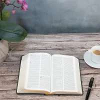 Bible SG21 souple cuir anthracite or