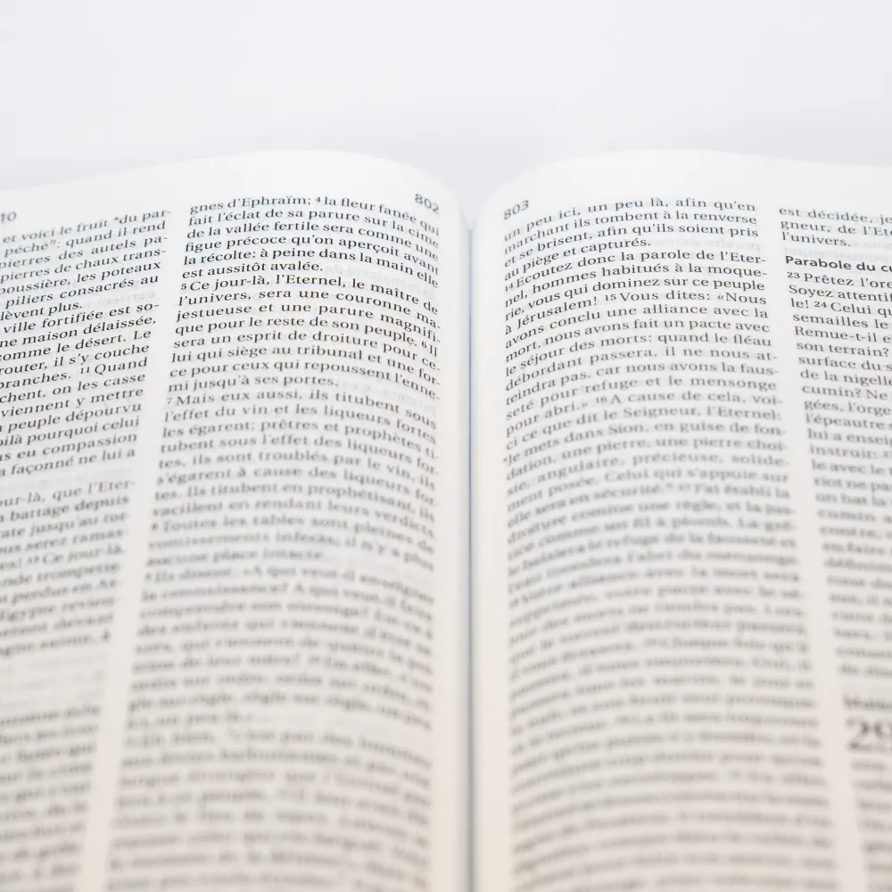 Bible SG21 souple cuir anthracite or