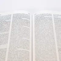 Bible SG21 souple cuir anthracite or