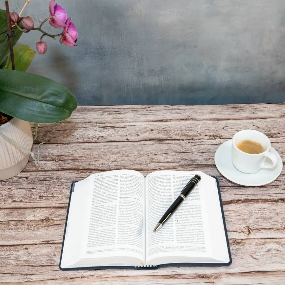 Bible SG21 souple textile bleu marine