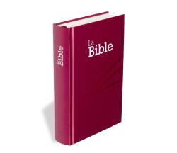 Bible SG21 rigide prune