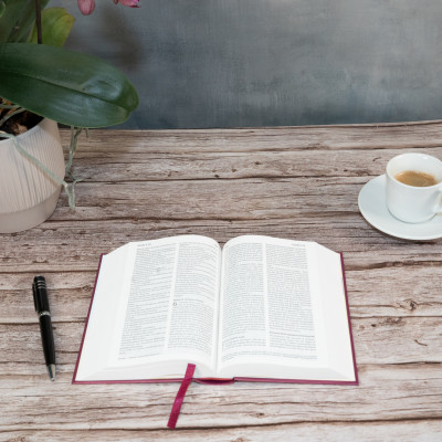 Bible SG21 rigide prune