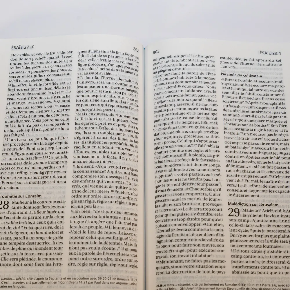 Bible SG21 rigide bleu nuit