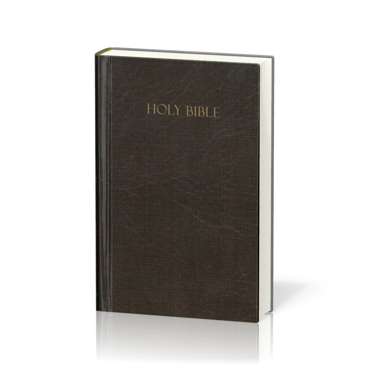 Amplified Holy Bible compact hardcover