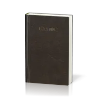 Amplified Holy Bible compact hardcover