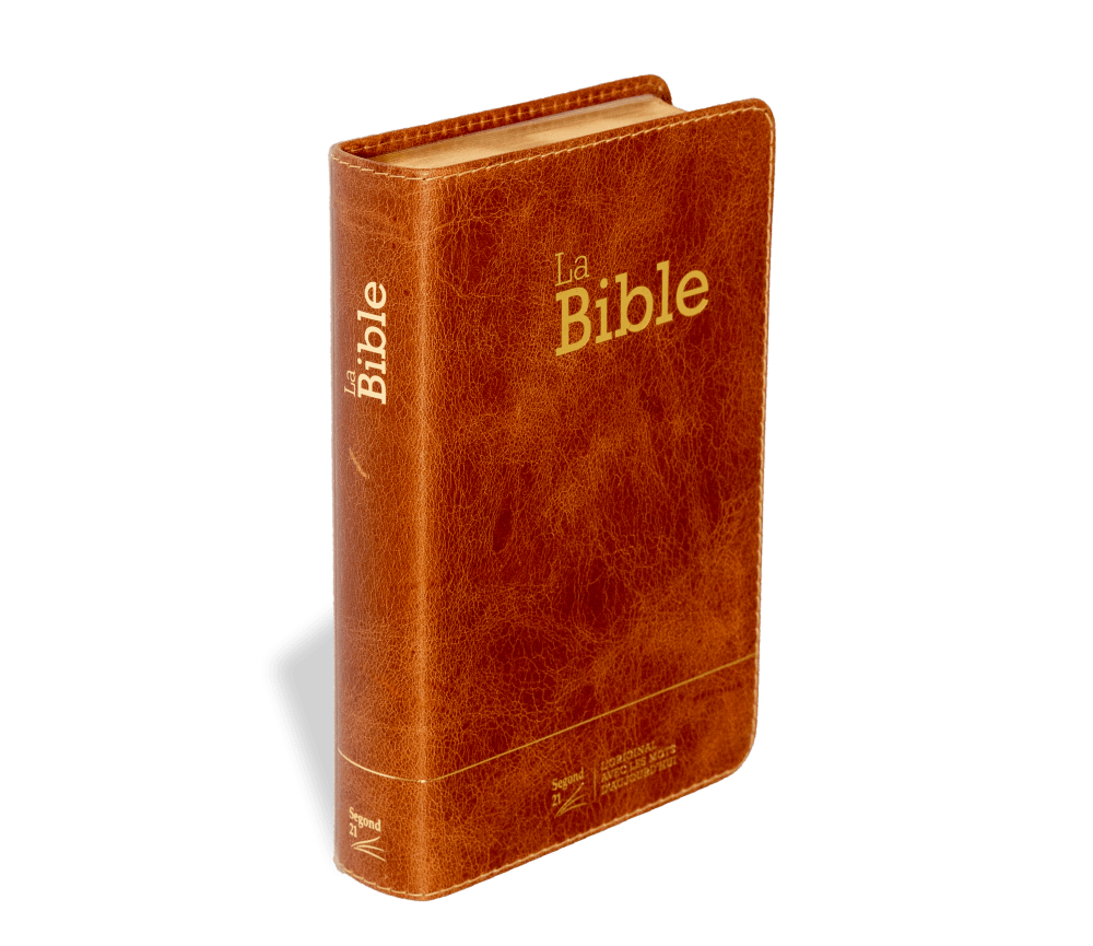 Bible SG21 souple cuir brun or