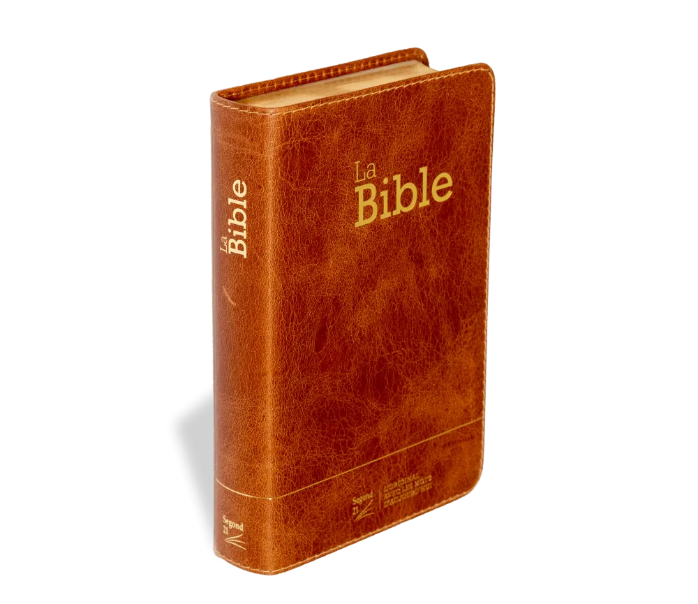 Bible SG21 souple cuir brun or