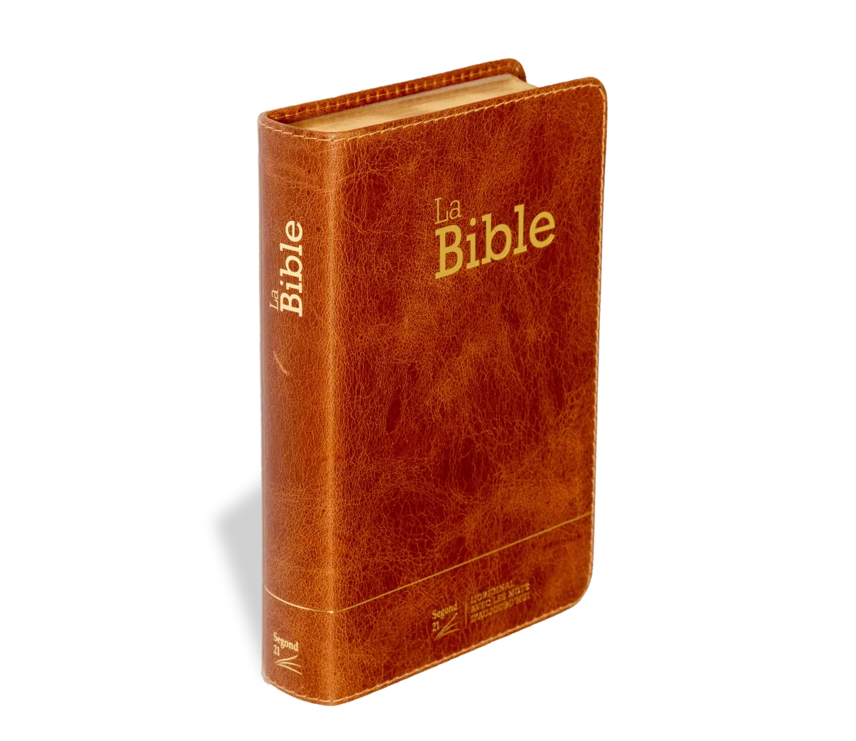 Bible SG21 souple cuir brun or