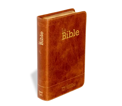 Bible SG21 souple cuir brun or