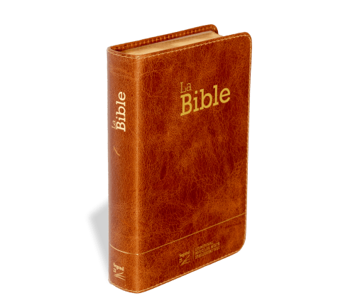 Bible SG21 souple cuir brun or