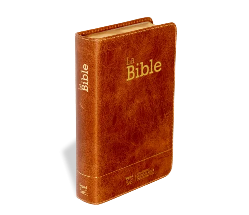 Bible SG21 souple cuir brun or