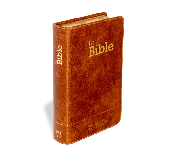 Bible SG21 souple cuir brun or