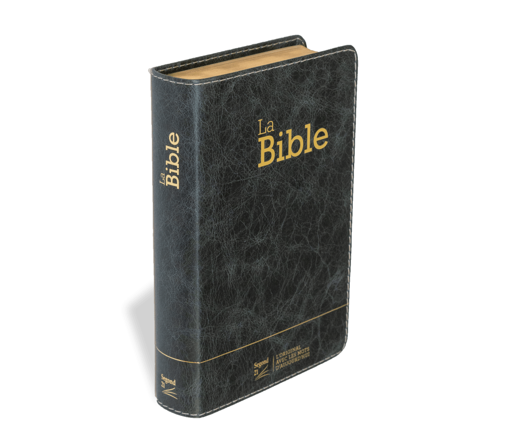 Bible SG21 souple cuir anthracite or