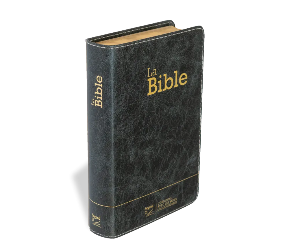 Bible SG21 souple cuir anthracite or