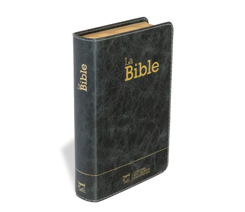 Bible SG21 souple cuir anthracite or