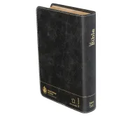 Bible SG21 souple cuir anthracite or