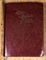 Bible Segond 1910 gros caractères souple marron or onglets