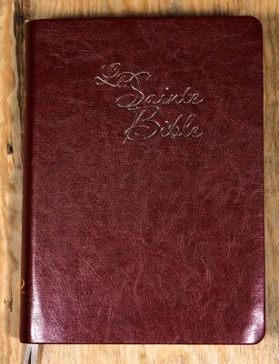 Bible Segond 1910 gros caractères souple marron or onglets