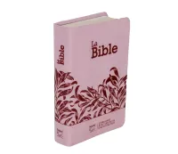 Bible SG21 souple textile rose onglets