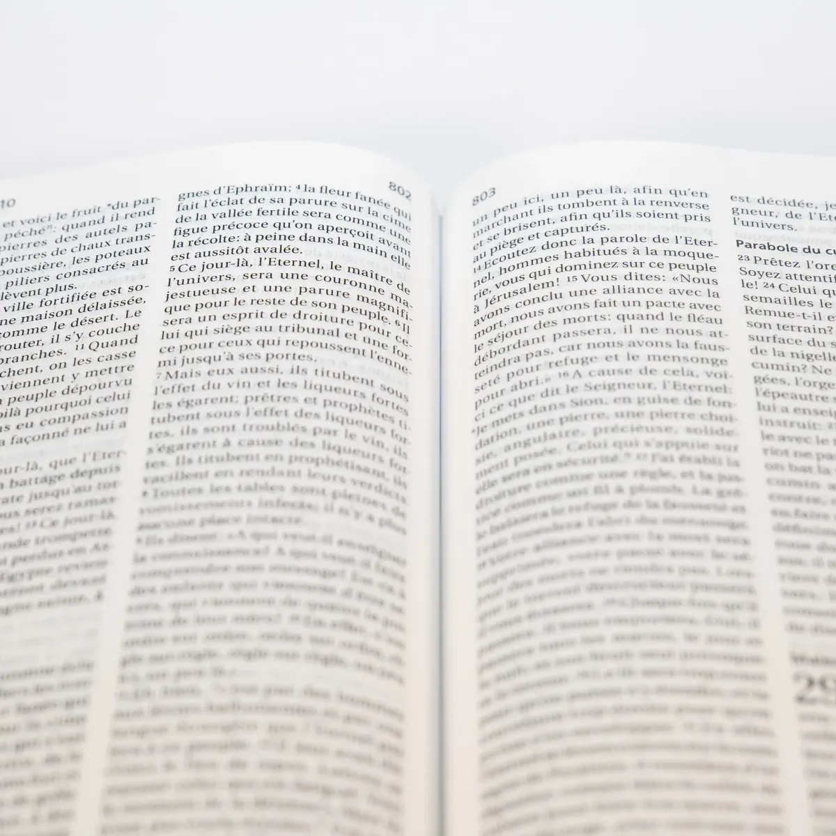 Bible SG21 rigide textile bleu fleurs