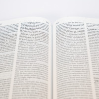 Bible SG21 rigide textile bleu fleurs