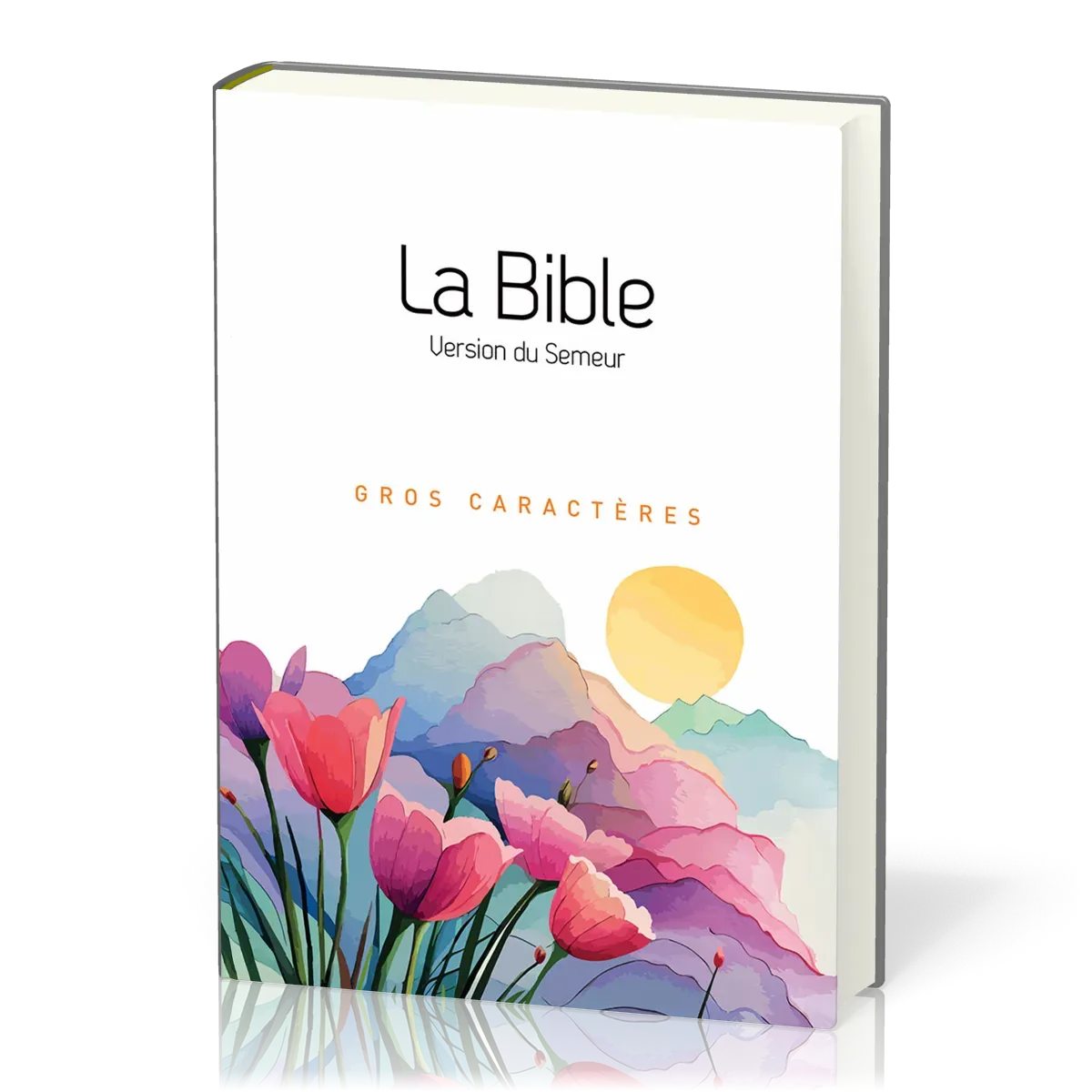 Bible Semeur gros caractères souple toile paysage