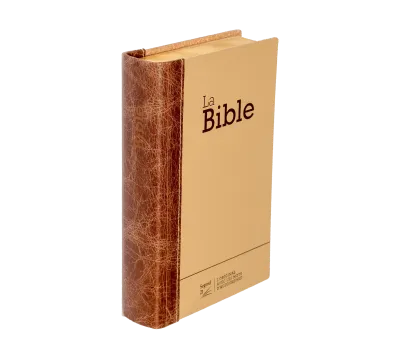 Bible SG21 rigide cuir duo praliné-chocolat or onglets