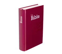 Bible SG21 rigide prune