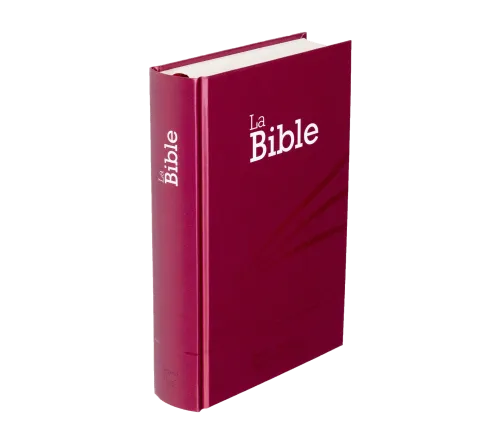 Bible SG21 rigide prune