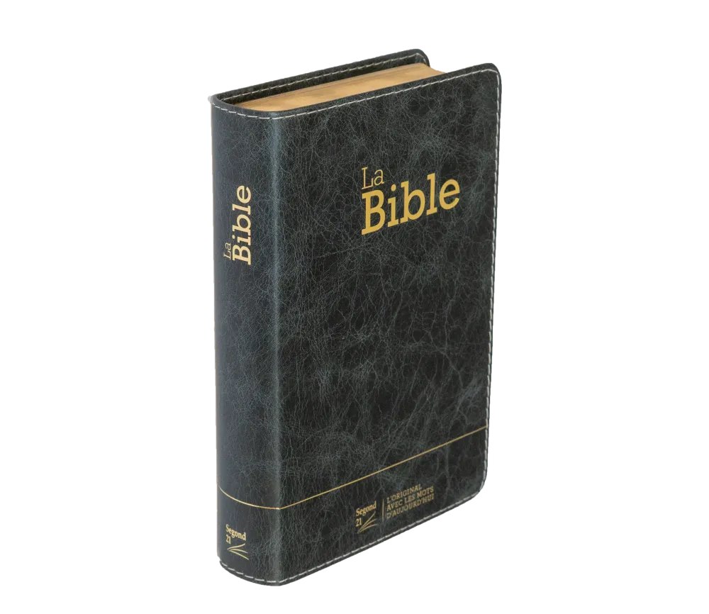 Bible SG21 souple cuir anthracite or