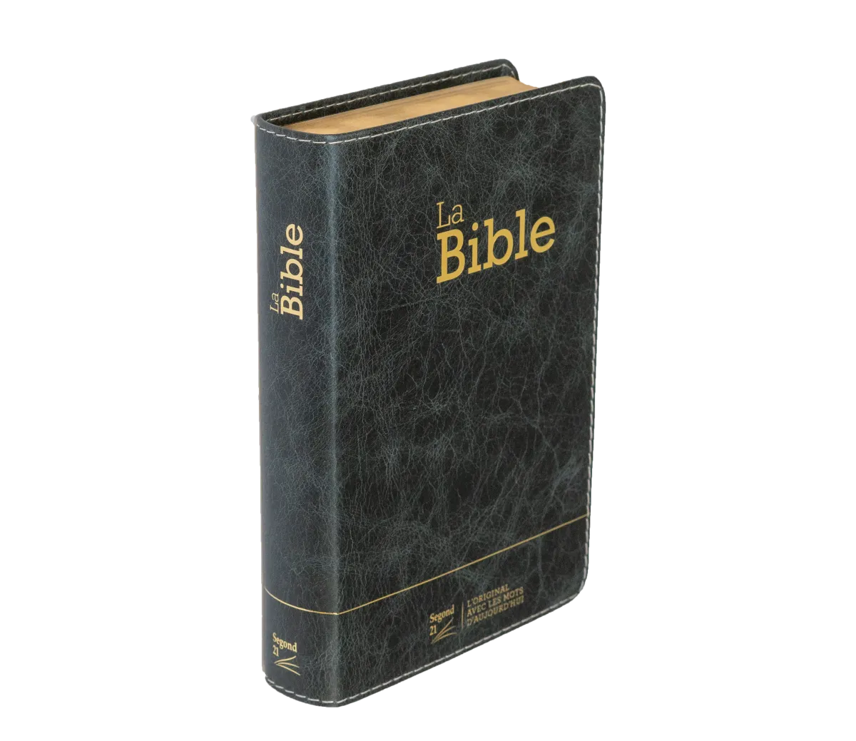 Bible SG21 souple cuir anthracite or