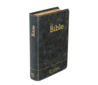 Bible SG21 souple cuir anthracite or