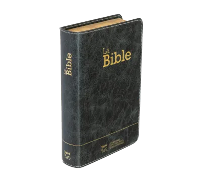 Bible SG21 souple cuir anthracite or