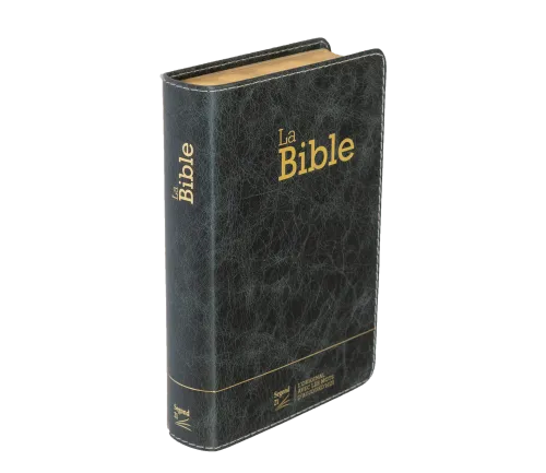Bible SG21 souple cuir anthracite or