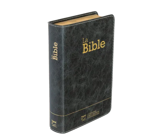 Bible SG21 souple cuir anthracite or