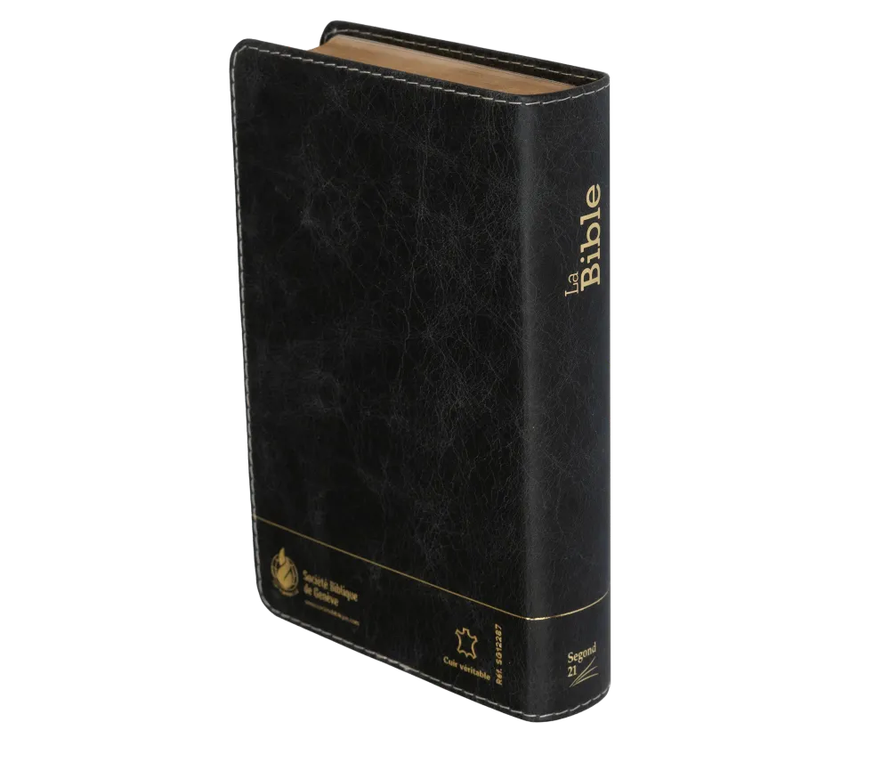 Bible SG21 souple cuir anthracite or