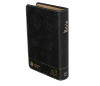 Bible SG21 souple cuir anthracite or