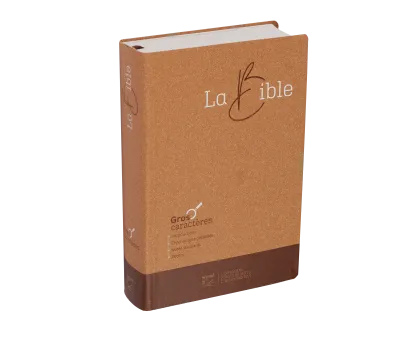 Bible SG21 gros caractères souple papier brun chiné